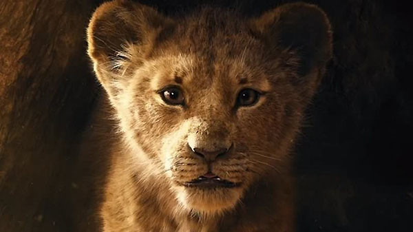 ��� ��� (19.07)